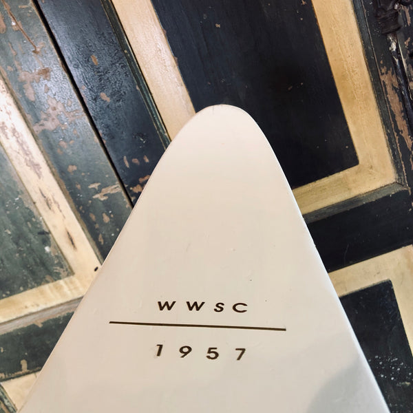 Petone Beach Water Skis